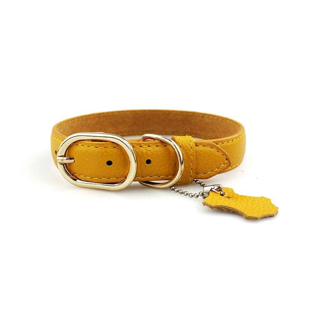 PU Leather Dog Neck Collar with Hangtag