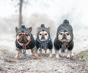 Windproof Woolen Fur Ball Warm Pet Hat